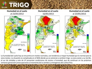 Humedad en el suelo
al 23/05/2012
Humedad en el suelo
16/05/2013
Humedad en el suelo
al 23/05/2013
La humedad del suelo hoy se encuentra en niveles normales, con tendencia a mayor humedad que la normal para la
zona núcleo. La situación es complicada en el NOA donde ya se comenzó a sembrar trigo. La zona oeste y sur de BA,
el sur de córdoba y este de LP presentan condiciones de escasa a humedad, que de continuar en las próximas
semanas generarán preocupaciones al momento de la siembra y emergencia del cultivo fino.
 