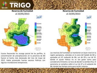 Reserva de humedad
al 23/05/2013
Las reservas de humedad se mantienen en buen nivel en la
región pampeana, sobradas en la zona del Salado de BA y
ajustadas en LP, sudoeste de BA, sur de CB y sur de SF,
donde el ajuste hídrico no es tan grave como para
considerarlo limitante a la hora de decidir la siembra fina. El
panorama se complica sobre el sur de LP y el sudoeste de
BA, donde hay tiempo como para recibir mejoras.
Reserva de humedad
al 23/05/2013
Lluvias favorecido las recarga parcial de los perfiles, la
concentración de precipitaciones en la provincia de BA
fueron el hecho más destacado del mes de mayo de
2012. Había provocado fuertes excesos hídricos con
algunas inundaciones temporarias.
 