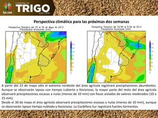 Perspectiva climática para las próximas dos semanas
A partir del 23 de mayo sólo el extremo nordeste del área agrícola registrará precipitaciones abundantes.
Aunque se observarán lapsos con tiempo cubierto y lloviznoso, la mayor parte del resto del área agrícola
observará precipitaciones escasas a nulas (menos de 10 mm) con focos aislados de valores moderados (10 a
25 mm).
Desde el 30 de mayo el área agrícola observará precipitaciones escasas a nulas (menos de 10 mm), aunque
se observarán lapsos tiempo nublado y lloviznoso. La Cordillera Sur registrará fuertes tormentas.
 