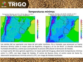 Temperaturas mínimas
Los vientos del sur aportarán una masa de aire polar marítimo, frío y húmedo, que provocará un fuerte
descenso térmico sobre la mayor parte de Argentina, Uruguay y el sur de Brasil. La elevada nubosidad,
humedad atmosférica y viento que acompañarán el proceso dificultarán la formación de heladas.
La mayor parte del área agrícola argentina y la mayor parte del Uruguay, observarán temperaturas mínimas
entre 5 y 10ºC, con bajo riesgo de heladas. El centro de Buenos Aires, el centro oeste de Santa Fe,
observarán temperaturas mínimas entre 0 y 5ºC, con riesgo de heladas localizadas.
 