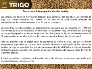 Buenas condiciones para la siembra de trigo
Las condiciones del suelo hoy son las propicias para comenzar con las labores de siembra de
trigo. Las lluvias necesarias no superan los 40 mm en la Zona Núcleo producto de
precipitaciones de caudales cercanos a los 20 mm en la semana.
La región triguera más necesitada de precipitaciones es aquella que se encuentra en el NOA. Allí
la humedad es escasa y los perfiles de humedad se encuentran muy comprometidos dado que
no han recibido precipitaciones en los últimos días. Sur y oeste de BA, sur de Córdoba y este de
LP requieren lluvias para los próximos días para no complicar los perfiles de humedad.
Para los próximos días la probabilidad de ocurrencia de lluvias es baja. Las que se prevén
escasamente superarían los 10 mm. Esta situación facilitaría la realización de los labores de
siembra de trigo en aquellos lotes que ya estén preparados. En el NOA los perfiles de humedad
continuarían comprometidos y la siembra allí ya comenzó, recibiendo lluvias a partir de fines de
la semana próxima.
A nivel general las condiciones de humedad del suelo alcanzan las óptimas pero están más
comprometidas que el año anterior.
 