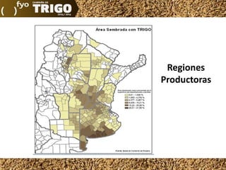 Regiones
Productoras

 