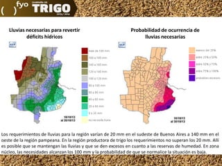 Lluvias necesarias para revertir
déficits hídricos

Probabilidad de ocurrencia de
lluvias necesarias

Los requerimientos de lluvias para la región varían de 20 mm en el sudeste de Buenos Aires a 140 mm en el
oeste de la región pampeana. En la región productora de trigo los requerimientos no superan los 20 mm. Allí
es posible que se mantengan las lluvias y que se den excesos en cuanto a las reservas de humedad. En zona
núcleo, las necesidades alcanzan los 100 mm y la probabilidad de que se normalice la situación es baja.

 
