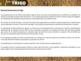 Nuevas lluvias para el trigo
Las precipitaciones de los últimos días trajeron algo de alivio a las zonas más afectadas del sur santafesino y cordobés. Los
valores acumulados oscilaron entre 20 y 60 mm. En el sudeste bonaerense, donde los cultivos transitan etapas de espigado,
las condiciones de humedad son buenas para el normal desarrollo en los distintos lotes.
En el norte, los cultivos de trigo, a causa de las pocas lluvias registradas en las últimas semanas ingresaron en etapas claves
muy complicados en cuanto a reservas de humedad, lo que afectará notoriamente su potencial de rendimiento a cosecha.
A nivel general el balance hídrico es: optimo en el este y en el sur de Buenos Aires, y de sequía en el centro y oeste del área
agrícola donde se necesitan más de 100 mm para normalizar la situación en los próximos 15 días. Ello será poco probable
que ocurra. En el sudeste bonaerense se necesitan algo más de 20 mm para normalizar la situación. Ello es factible que
ocurra y no se descartan excesos de lluvias en los próximos 15 días.
En los próximas jornadas las lluvias se concentrarán en el extremo sur del área agrícola con valores cercanos a los 50 mm.
En el resto del país los valores acumulados no superarían los 30 mm .
Las temperaturas se mantendrán en valores superiores a los normales para esta época del año.
La campaña anterior mostraba excesos hídricos en gran parte del centro y este agrícola y condiciones favorables en casi
toda la región. Este contexto generaba inconvenientes sanitarios para el cultivo.

 
