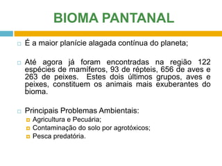 BIOMA PANTANAL


É a maior planície alagada contínua do planeta;



Até agora já foram encontradas na região 122
espécies de mamíferos, 93 de répteis, 656 de aves e
263 de peixes. Estes dois últimos grupos, aves e
peixes, constituem os animais mais exuberantes do
bioma.



Principais Problemas Ambientais:




Agricultura e Pecuária;
Contaminação do solo por agrotóxicos;
Pesca predatória.

 