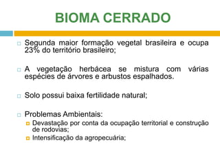 BIOMA CERRADO


Segunda maior formação vegetal brasileira e ocupa
23% do território brasileiro;



A vegetação herbácea se mistura com várias
espécies de árvores e arbustos espalhados.



Solo possui baixa fertilidade natural;



Problemas Ambientais:



Devastação por conta da ocupação territorial e construção
de rodovias;
Intensificação da agropecuária;

 