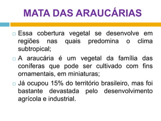 MATA DAS ARAUCÁRIAS






Essa cobertura vegetal se desenvolve em
regiões nas quais predomina o clima
subtropical;
A araucária é um vegetal da família das
coníferas que pode ser cultivado com fins
ornamentais, em miniaturas;
Já ocupou 15% do território brasileiro, mas foi
bastante devastada pelo desenvolvimento
agrícola e industrial.

 