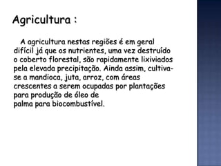 Agricultura :
  A agricultura nestas regiões é em geral
difícil já que os nutrientes, uma vez destruído
o coberto florestal, são rapidamente lixiviados
pela elevada precipitação. Ainda assim, cultiva-
se a mandioca, juta, arroz, com áreas
crescentes a serem ocupadas por plantações
para produção de óleo de
palma para biocombustível.
 