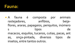  A fauna é composta por animais
rastejadores, anfíbios, beija-
flores, araras, papagaios, periquitos, inúmero
s tipos de
macacos, esquilos, tucanos, cutias, pacas, ant
as, onça-pintada, diversos tipos de
insetos, entre tantos outros.