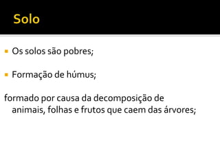  Os solos são pobres;
Formação de húmus;
formado por causa da decomposição de
animais, folhas e frutos que caem das árvores;