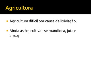  Agricultura difícil por causa da lixiviação;
Ainda assim cultiva –se mandioca, juta e
arroz;