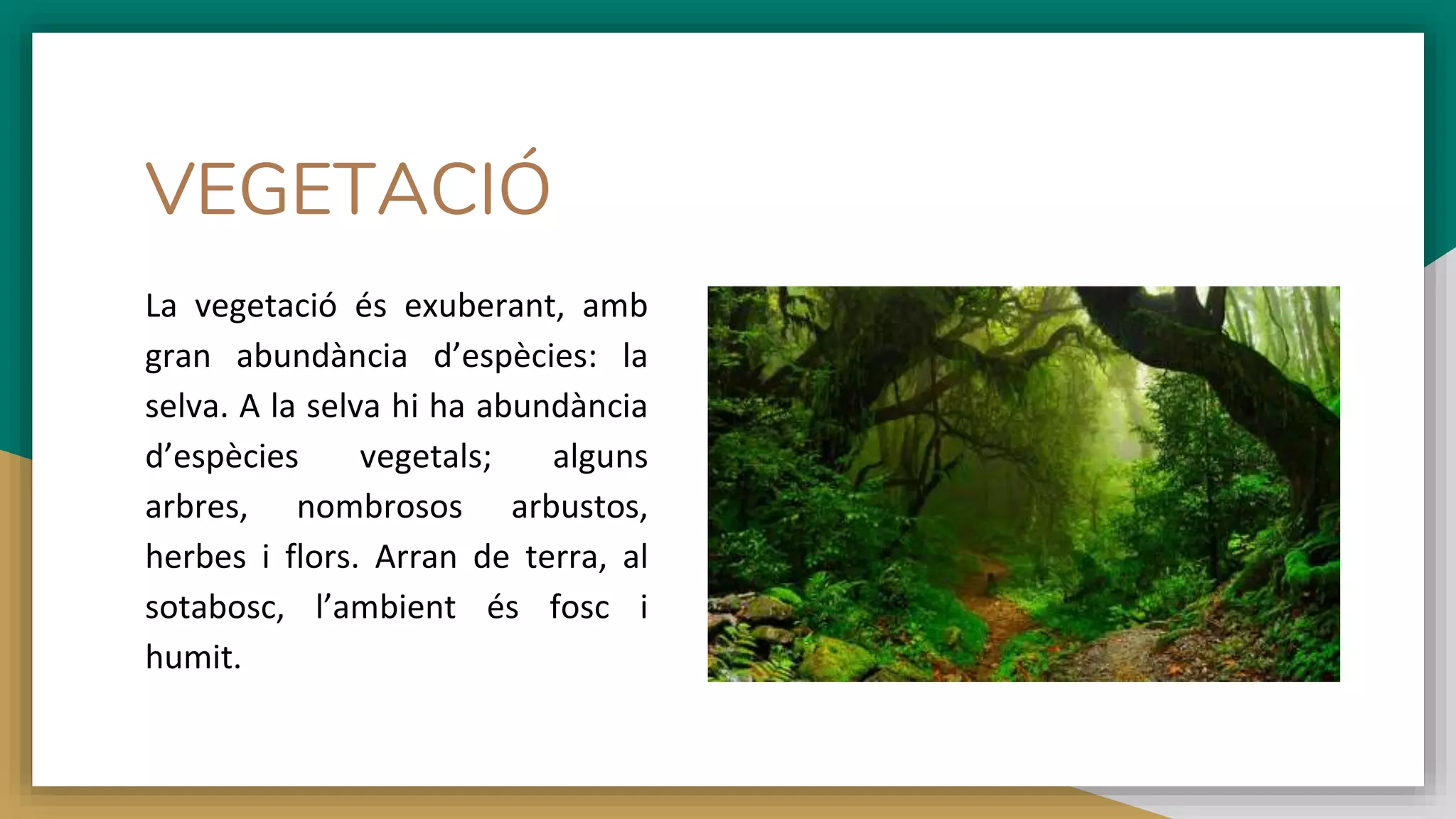 Clima equatorial PPT