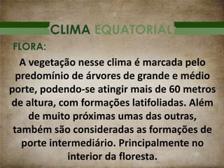 CLIMA EQUATORIAL
A vegetação nesse clima é marcada pelo
predomínio de árvores de grande e médio
porte, podendo-se atingir mais de 60 metros
de altura, com formações latifoliadas. Além
de muito próximas umas das outras,
também são consideradas as formações de
porte intermediário. Principalmente no
interior da floresta.
FLORA:
 