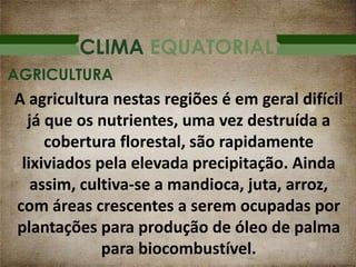 CLIMA EQUATORIAL
A agricultura nestas regiões é em geral difícil
já que os nutrientes, uma vez destruída a
cobertura florestal, são rapidamente
lixiviados pela elevada precipitação. Ainda
assim, cultiva-se a mandioca, juta, arroz,
com áreas crescentes a serem ocupadas por
plantações para produção de óleo de palma
para biocombustível.
AGRICULTURA
 