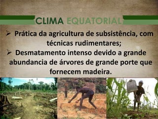CLIMA EQUATORIAL
 Prática da agricultura de subsistência, com
técnicas rudimentares;
 Desmatamento intenso devido a grande
abundancia de árvores de grande porte que
fornecem madeira.
 