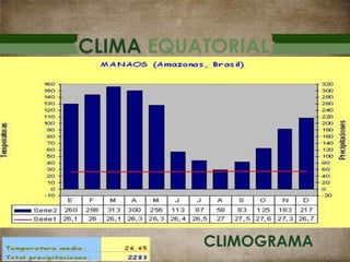CLIMA EQUATORIAL
CLIMOGRAMA
 