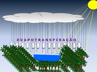 E V A P O T R A N S P I R A Ç Ã O
 