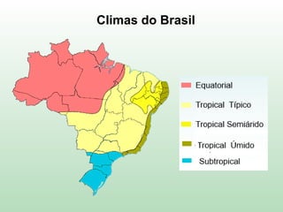 Climas do Brasil
 