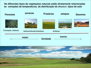Os diferentes tipos de vegetações naturais estão diretamente relacionadas
às variações de temperaturas, de distribuição de chuva e tipos de solo

                       savanas                 Pradarias          estepes
 Florestas                                                                  Desertos




Formações arbóreas    Arbóreo/arbustivo/herbáceo       Herbáceo



                     maior                                        menor
                                            Umidade
 