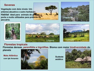 Savanas
Vegetação com dois níveis: Um
arbóreo-abustivo e outro herbáceo.
Habitat ideal para animais de grande
porte e muito utilizados para práticas de                   chaparral
pecuária.




    Jungle
                                            Lhanos              Cerrado

   Florestas tropicais
 Florestas densas, perenifólia e higrófilas. Bioma com maior biodiversidade do
 planeta

  Mata Atlântica
                                                     Sudeste
  com Ipê Amarelo                                    asiático
 