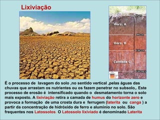 Lixiviação




É o processo de lavagem do solo ,no sentido vertical ,pelas águas das
chuvas que arrastam os nutrientes ou os fazem penetrar no subsolo,. Este
processo de erosão é intensificado quando o desmatamento torna o solo
mais exposto. A lixiviação retira a camada de humus do horizonte zero e
provoca a formação de uma crosta dura e ferrugem (laterita ou canga ) a
partir da concentração de hidróxido de ferro e alumínio no solo. São
frequentes nos Latossolos. O Latossolo lixiviado é denominado Laterita
 