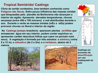 Tropical Semiárido/ Caatinga
Clima do sertão nordestino, área também conhecido como
Polígono das Secas. Sofre pouca influência das massas úmidas
que bloqueadas pelo planalto da Borborema não alcançam o
interior da região. Apresenta elevadas temperaturas, chuvas
escassas (entre 400 e 750 mm/ano) e mal distribuídas durante o
ano. Durante o verão as massas úmidas (mEc e mEa) podem
provocar chuvas no litoral e interior da região.
 Na Caatinga (estepe brasileira) aparecem plantas xerófilas que
armazenam água em seu interior, podem conter espinhos ou
apresentar caráter descíduo( folhas que caem no periodo mais
seco). A vegetação é formada por três estratos: o arbóreo,( entre
8 a 12 m); o arbustivo (de 2 a 5m); e o herbáceo, abaixo de 2
metros.
                                                                    Caatinga em
                                                                    processo de
                                                                    desertificação
                                                                    por uso
                                                                    inadequado do
                                                                    solo
 