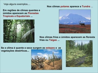 Veja alguns exemplos....
                                     Nos climas polares aparece a Tundra ...
 Em regiões de climas quentes e
 úmidos aparecem as Florestas
 Tropicais e Equatoriais ...




                               Nos climas frios e úmidos aparecem as floresta
                               frias ou Taigas ...


Se o clima é quente e seco surgem as estepes e as
vegetações desérticas...
 