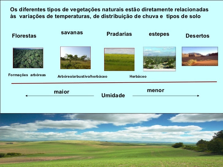 Clima e vegetação