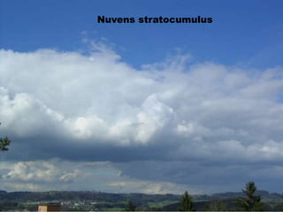 Nuvens stratusNuvens stratocumulus
 