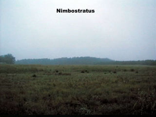 CumulunimbusCumulusNuvens altocumulusNimbostratus praecipitatio
Nimbostratus virga
Nimbostratus
 