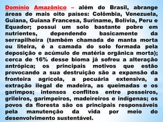 Domínio Amazônico – além do Brasil, abrange
áreas de mais oito países: Colômbia, Venezuela,
Guiana, Guiana Francesa, Suriname, Bolívia, Peru e
Equador; possui um solo bastante pobre em
nutrientes, dependendo basicamente da
serrapilheira (também chamada de manta morta
ou liteira, é a camada do solo formada pela
deposição e acúmulo de matéria orgânica morta);
cerca de 16% desse bioma já sofreu a alteração
antrópica; os principais motivos que estão
provocando a sua destruição são a expansão da
fronteira agrícola, a pecuária extensiva, a
extração ilegal de madeira, as queimadas e os
garimpos; intensos conflitos entre posseiros,
grileiros, garimpeiros, madeireiros e indígenas; os
povos da floresta são os principais responsáveis
pela manutenção da vida por meio do
desenvolvimento sustentável.
 