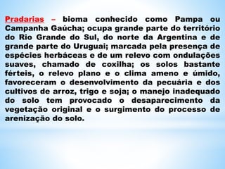 Pradarias – bioma conhecido como Pampa ou
Campanha Gaúcha; ocupa grande parte do território
do Rio Grande do Sul, do norte da Argentina e de
grande parte do Uruguai; marcada pela presença de
espécies herbáceas e de um relevo com ondulações
suaves, chamado de coxilha; os solos bastante
férteis, o relevo plano e o clima ameno e úmido,
favoreceram o desenvolvimento da pecuária e dos
cultivos de arroz, trigo e soja; o manejo inadequado
do solo tem provocado o desaparecimento da
vegetação original e o surgimento do processo de
arenização do solo.
 