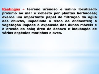 Restingas – terreno arenoso e salino localizado
próximo ao mar e coberto por plantas herbáceas;
exerce um importante papel de filtração da água
das chuvas, impedindo o risco de enchentes; a
vegetação impede a expansão das dunas móveis e
a erosão do solo; área de desova e incubação de
várias espécies marinhas e aves.
 