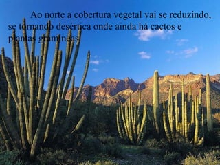 Ao norte a cobertura vegetal vai se reduzindo,
se tornando desértica onde ainda há cactos e
plantas gramíneas.
 