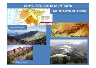 CLIMA FRED D’ALTA MUNTANYA
- Pmm procedents del
Mediterrani (600 – 800 mm)
- Hiverns frescos i estius
suaus.
 