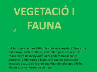 VEGETACIÓ I FAUNA A les zones de més altitud hi creix una vegetació típica  de muntanya , amb coníferes, i matolls o pastures als cims. 