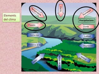 Elements
del clima

Precipitacions

 
