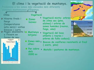 El clima i la vegetació de muntanya.

Predomina a les zones més elevades dels diferents
sistemes muntanyosos d’Espanya.

Clima
Hiverns freds i
llargs
(temperatures
sota zero) i estius
frescos i curts
Pluges abundants i
a l’hivern en
forma de neu.

Vegetació
Zones
baixes:

Muntanya
mitjana:
Zones més
altes:
Per sobre
dels
2000 m:

Vegetació mixta: arbres
de clima sec (pins,
alzines) i arbres de
zones humides (roures,
faigs, oms)
Vegetació del bosc
atlàntic ( roures i
arbres de fulla caduca).
Boscos de coníferes resistents al fred
( avets, pins)
Matolls i pastures de muntanya.

 
