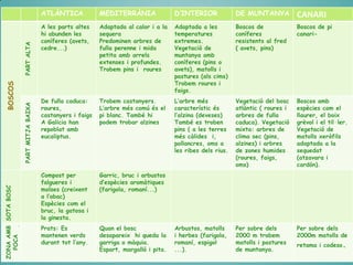 PART MITJA BAIXA

ZONA AMB SOTA BOSC
POCA
VEGETACIÓ

BOSCOS

PART ALTA

ATLÀNTICA

MEDITERRÀNIA

D’INTERIOR

DE MUNTANYA

CANARI

A les parts altes
hi abunden les
coníferes (avets,
cedre...)

Adaptada al calor i a la
sequera
Predominen arbres de
fulla perenne i mida
petita amb arrels
extenses i profundes.
Trobem pins i roures

Adaptada a les
temperatures
extremes.
Vegetació de
muntanya amb
coníferes (pins o
avets), matolls i
pastures (als cims)
Trobem roures i
faigs.

Boscos de
coníferes
resistents al fred
( avets, pins)

Boscos de pi
canari-

De fulla caduca:
roures,
castanyers i faigs
A Galicia han
repoblat amb
eucaliptus.

Trobem castanyers.
L’arbre més comú és el
pi blanc. També hi
podem trobar alzines

L’arbre més
característic és
l’alzina (deveses)
També es troben
pins ( a les terres
més càlides i,
pollancres, oms a
les ribes dels rius.

Vegetació del bosc
atlàntic ( roures i
arbres de fulla
caduca). Vegetació
mixta: arbres de
clima sec (pins,
alzines) i arbres
de zones humides
(roures, faigs,
oms)

Boscos amb
espècies com el
llaurer, el boix
grèvol i el til·ler.
Vegetació de
matolls xeròfils
adaptada a la
sequedat
(atzavara i
cardón).

Compost per
falgueres i
molses (creixent
a l’obac)
Espècies com el
bruc, la gatosa i
la ginesta.

Garric, bruc i arbustos
d’espècies aromàtiques
(farigola, romaní...)

Prats: Es
mantenen verds
durant tot l’any.

Quan el bosc
desapareix hi queda la
garriga o màquia.
Espart, margalló i pita.

Arbustos, matolls
i herbes (farigola,
romaní, espigol
...).

Per sobre dels
2000 m trobem
matolls i pastures
de muntanya.

Per sobre dels
2000m matolls de
retama i codeso.

 