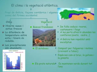 El clima i la vegetació atlàntica.
Propi de Galicia, façana cantàbrica i algunes
zones del Pirineu occidental.
Clima
Hiverns suaus i
estius frescos
La diferència de
temperatura entre
estiu i hivern és
reduïda.
Les precipitacions
són abundants

Vegetació
Boscos frondosos:

De fulla caduca: roures,
castanyers i faigs
A les parts altes hi abunden les
coníferes (avets, cedre...)
A Galicia han repoblat amb
eucaliptus.

El sotabosc:

Compost per falgueres i molses
(creixent a l’obac)
Espècies com el bruc, la gatosa i
la ginesta

Els prats naturals:

Es mantenen verds durant tot
l’any

 