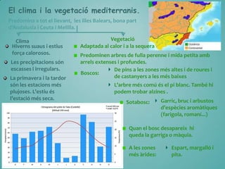 El clima i la vegetació mediterranis.
Predomina a tot el llevant, les illes Balears, bona part
d’Andalusia i Ceuta i Melilla.
Clima
Hiverns suaus i estius
força calorosos.

Les precipitacions són
escasses i irregulars.
La primavera i la tardor
són les estacions més
plujoses. L’estiu és
l’estació més seca.

Vegetació
Adaptada al calor i a la sequera
Predominen arbres de fulla perenne i mida petita amb
arrels extenses i profundes.
De pins a les zones més altes i de roures i
Boscos:
de castanyers a les més baixes
L’arbre més comú és el pi blanc. També hi
podem trobar alzines .
Sotabosc:

Garric, bruc i arbustos
d’espècies arom{tiques
(farigola, romaní...)

Quan el bosc desapareix hi
queda la garriga o màquia.
A les zones
més àrides:

Espart, margalló i
pita.

 