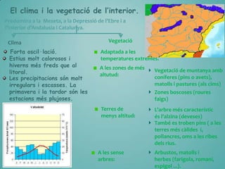 El clima i la vegetació de l’interior.
Predomina a la Meseta, a la Depressió de l’Ebre i a
l’interior d’Andalusia i Catalunya.
Clima
Forta oscil·lació.
Estius molt calorosos i
hiverns més freds que al
litoral.
Les precipitacions són molt
irregulars i escasses. La
primavera i la tardor són les
estacions més plujoses.

Vegetació
Adaptada a les
temperatures extremes.
A les zones de més
altutud:

Vegetació de muntanya amb
coníferes (pins o avets),
matolls i pastures (als cims)
Zones boscoses (roures
faigs)

Terres de
menys altitud:

L’arbre més característic
és l’alzina (deveses)
També es troben pins ( a les
terres més càlides i,
pollancres, oms a les ribes
dels rius.

A les sense
arbres:

Arbustos, matolls i
herbes (farigola, romaní,
espigol ...).

 