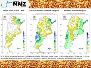 Lluvias en los últimos 7 días Lluvias acumuladas desde el 1° de agosto Promedio de lluvias en agosto
En la última semana el volumen de lluvias registradas fueron escasas o nulas. En lo que va del mes de agosto el monto
acumulado está por debajo de los 20 mm en toda el área agrícola. Las mismas están muy por debajo de lo normal.
 