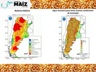 Agua necesaria para tener buenas condiciones
de humedad
Balance hídrico
 