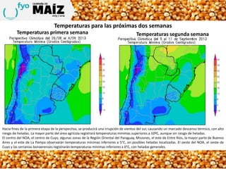 Temperaturas para las próximas dos semanas
Temperaturas primera semana Temperaturas segunda semana
Hacia fines de la primera etapa de la perspectiva, se producirá una irrupción de vientos del sur, causando un marcado descenso térmico, con alto
riesgo de heladas. La mayor parte del área agrícola registrará temperaturas mínimas superiores a 10ºC, aunque sin riesgo de heladas.
El centro del NOA, el centro de Cuyo, algunas zonas de la Región Oriental del Paraguay, Misiones, el este de Entre Ríos, la mayor parte de Buenos
Aires y el este de La Pampa observarán temperaturas mínimas inferiores a 5°C, on posibles heladas localizadas. El oeste del NOA, el oeste de
Cuyo y las serranías bonaerenses registrarán temperaturas mínimas inferiores a 0°C, con heladas generales.
 