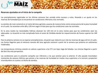 Reservas ajustadas en el inicio de la campaña
Las precipitaciones registradas en las últimas semanas han variado entre escasas y nulas, llevando a un ajuste en las
reservas de humedad que se encuentran en condiciones inferiores a las normales.
La siembra de maíz comenzó en el norte del área agrícola y avanza de manera lenta como consecuencia de la poca humedad
en el suelo. Se necesitan entre 80 y 120 mm según el lote para que las condiciones sean las normales.
En la zona núcleo las necesidades hídricas alcanzan los 120 mm en la zona núcleo para que las condiciones sean las
adecuadas. La situación es más complicada hacia el oeste de Córdoba donde los requerimientos de lluvias superan los 140
mm.
Para la próxima semana no se esperan precipitaciones, situación que reduciría aun más las reservas de agua útil en el suelo.
Las lluvias llegarían para el extremo noreste del área agrícola nacional a partir de la semana que próxima en volúmenes
moderados.
Las temperaturas mínimas estarán en valores superiores a los 5°C con bajo riego de heladas. Las mismas llegarían a partir
del día 6 de esta perspectiva.
Las condiciones para la presente campaña son inferiores a las que existían para la anterior. El año pasado transitaban
momentos de excesos hídricos que ponían a las reservas de humedad en niveles muy superiores a lo normal y proponían
incertidumbre en cuanto a la fecha de siembra.
 