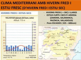 CLIMA MEDITERRANI AMB HIVERN FRED I
ESTIU FRESC (D’HIVERN FRED I ESTIU SEC)
- HIVERNS FREDS ( < 30C) i LLARGS
- ESTIUS CURTS I SECS ARIDESA
(ZAMORA, SALAMANCA,
PALÈNCIA, VALLADOLID)
- Pmm ESCASSES ( 325 – 600mm)
 