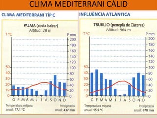 CLIMA MEDITERRANI CÀLID
 