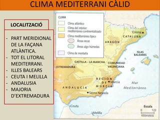 CLIMA MEDITERRANI CÀLID
LOCALITZACIÓ
- PART MERIDIONAL
DE LA FAÇANA
ATLÀNTICA.
- TOT EL LITORAL
MEDITERRANI.
- ILLES BALEARS
- CEUTA I MELILLA
- ANDALUSIA
- MAJORIA
D’EXTREMADURA
 