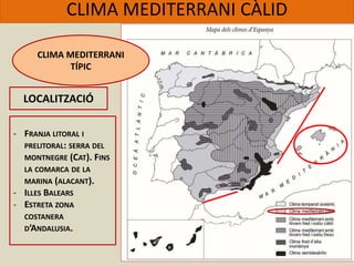 CLIMA MEDITERRANI CÀLID
CLIMA MEDITERRANI
TÍPIC
LOCALITZACIÓ
- FRANJA LITORAL I
PRELITORAL: SERRA DEL
MONTNEGRE (CAT). FINS
LA COMARCA DE LA
MARINA (ALACANT).
- ILLES BALEARS
- ESTRETA ZONA
COSTANERA
D’ANDALUSIA.
 